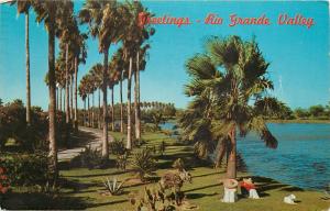 Rio Grande Valley South Texas TX palm trees along lake Postcard