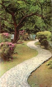 Vintage Postcard; Yangmingshan Park, Taiwan, Posted 1947 Hsinchu ROC