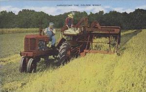 Montana Montana Harvesting The Golden Wheat