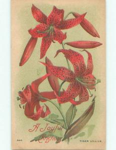 Divided-Back CHRISTMAS SCENE Great Postcard AA0213