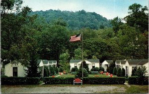 Maple Tree Motor Court Wheeling West Vitginia WV Postcard VTG UNP Dexter Vintage 