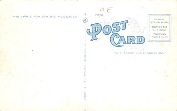 View from Hawks Mountain Hancock, New York Postcard