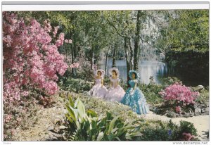 Looking Out On Mirror Lake Along One Of The Many Paths In Bellingrath Gardens...