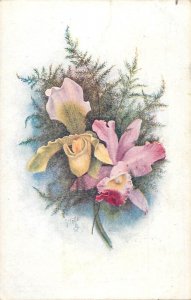 Postcard flowers Raphael Tuck Oilette orchids