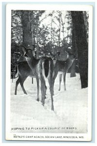 c1940s Bucks, Metko's Camp Acacia Squaw Lake, Minocqua Wisconsin WI Postcard