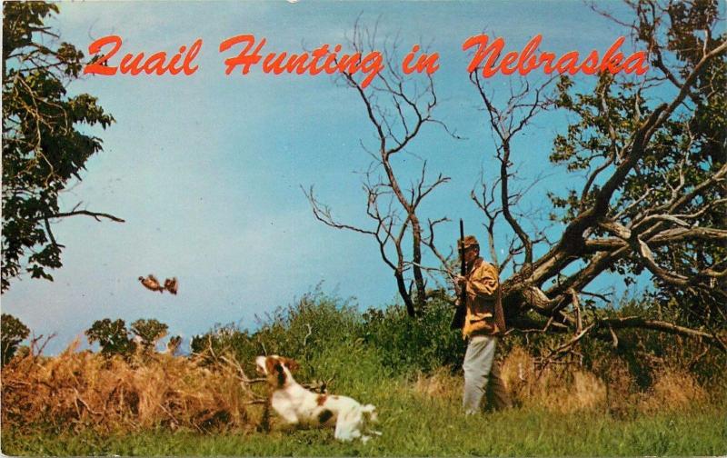 Quail Hunting in Nebraska NE Brittany Spaniel Dog Postcard