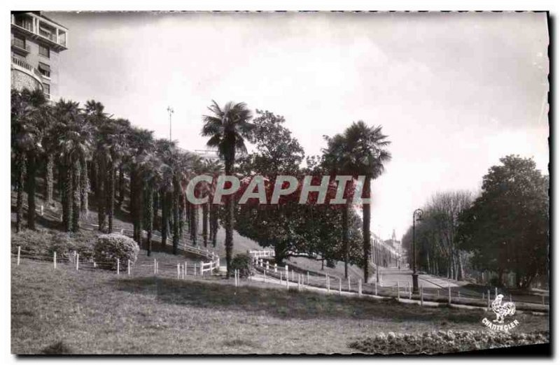 Postcard Modern Pau La Palmeraie and L Avenue de la Gare