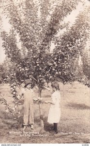 RP: PRINCETON , Illinois , 1908 ; W.T. Anson's Pear Orchard; Boy and Girl pic...