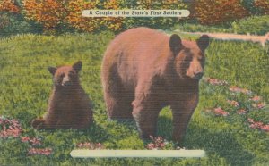 Mother Bear and Cub - Couple of State's First Settlers - Animals - Linen