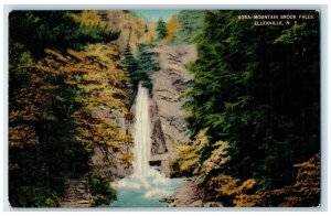 1949 Mountain Brook Falls River Cliff Trees Ellenville New York Vintage Postcard 