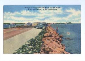 LP12  Florida Keys,  Florida,  FL  postcard,  Fishing, Whale