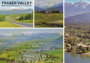 Canada Multi View Fraser Valley British Columbia