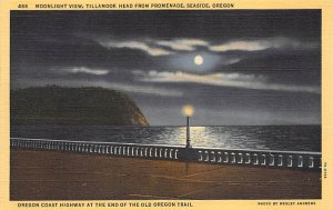 Tillamook Head from Promenade, Moonlight Seaside, Oregon OR