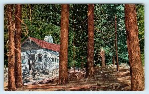 PINECREST, CA ~ The RUSTIC LODGE in  PINES c1910s San Bernardino County Postcard