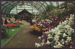 Spring and Easter Flower Show,Garfield Conservatory,Chicago,IL