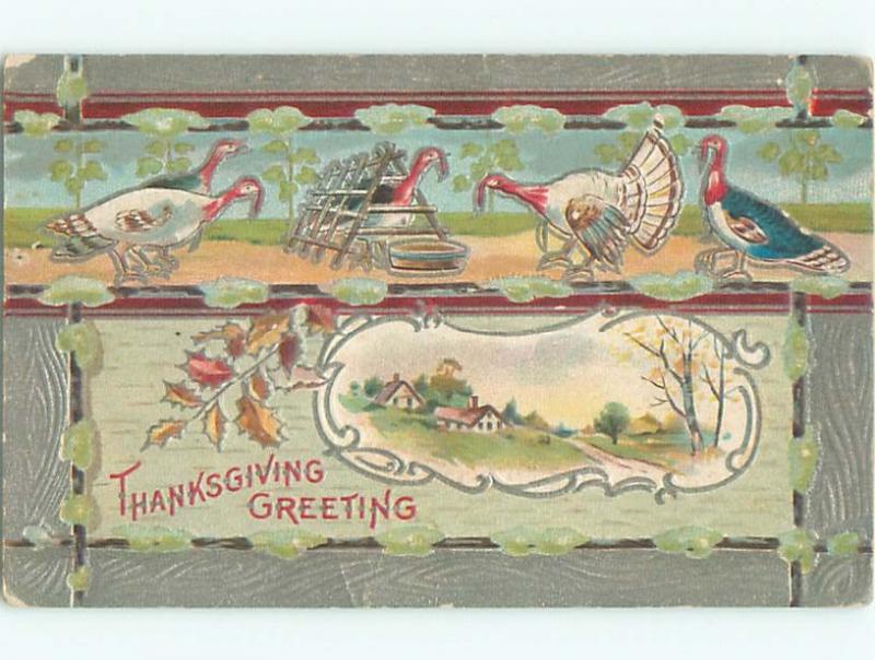 Divided-Back THANKSGIVING SCENE Great Postcard AA0535