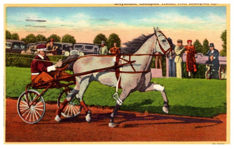 Kentucky Lexington  Greyhound,  Champion Trotter 1:56 ,