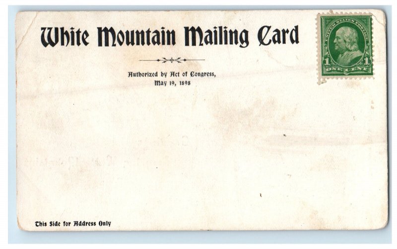 c1900s Greetings from the White Mountains Unposted Antique WMMC Postcard 