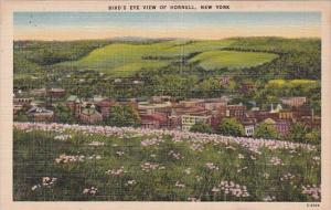 New York Hornell Birds Eye View Of Hornell