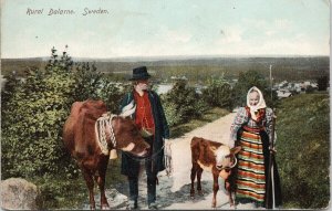 Rural Dalarne Sweden People Cows Unused Postcard G85
