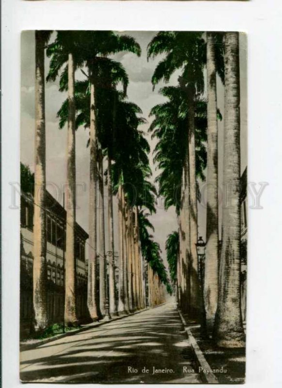 289513 BRAZIL RIO de JANEIRO Rua Paysandu Vintage tinted photo RPPC