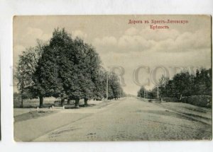 3147550 Belarus BREST LITOVSK Road to fortress Vintage postcard