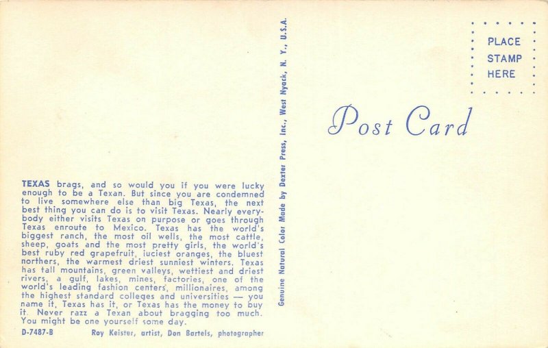 LPM50 Texas U.S.A. Map Chrome Postcard Views