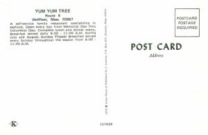 Postcard RESTAURANT SCENE Wellfleet Massachusetts MA AT1875