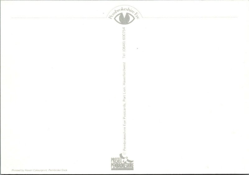 Wales Postcard - Lower Fishguard, Pembrokeshire   RR13009