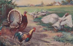 Thanksgiving Turkey Greetings ? Geese Trespassers - DB - a/s Ernest Linzell