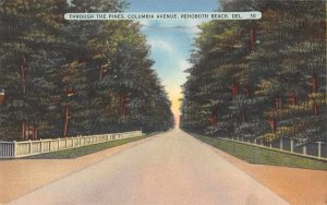 Rehoboth Beach Delaware Columbia Avenue Vintage Postcard AA7386