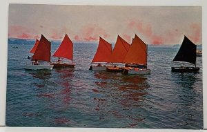 NY Chautauqua New York Pram Class Sail-Boats Gaff Rigged Postcard H1