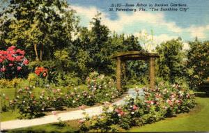 Florida St Petersburg Rose Arbor In Sunken Gardens Curteich