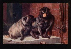 3049121 Family of PUG Mops by LANDSEER vintage TUCK