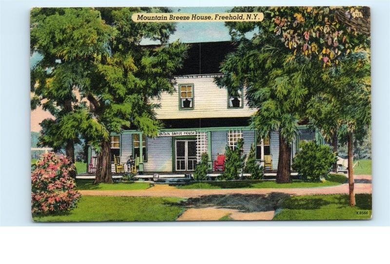 Freehold NY Mountain Breeze House Vintage Postcard C68