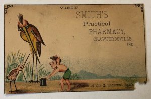 Smith's Practical Pharmacy Victorian Trade Card Crawfordsville Indiana Birds Elf