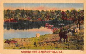 Maddensville Pennsylvania Greetings From scenic view of area antique pc Z16853 