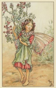 The Fumitory Fairy Rare 1940s Book Stunning Postcard
