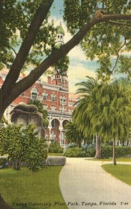 Vintage Postcard 1953 Entrance View  Tampa University Plant Park Tampa Florida