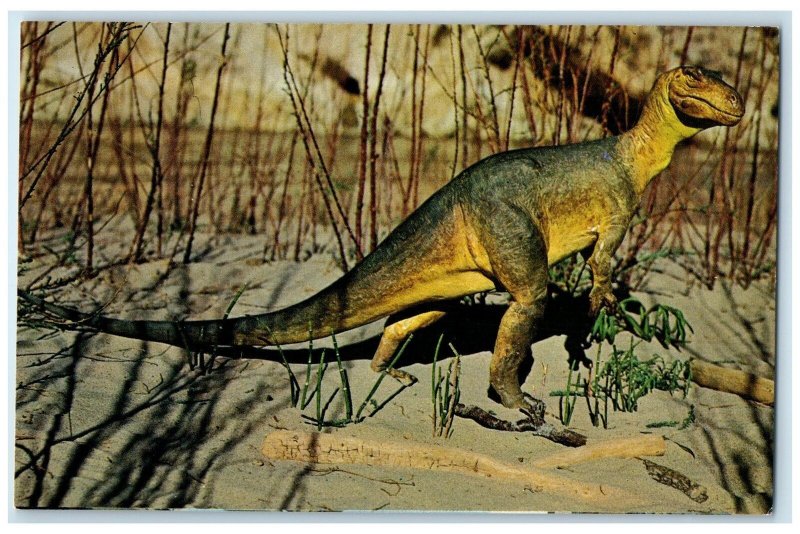 c1950's Model Of Antrodemus Dinosaur Roamed At Present Utah & Colorado Postcard