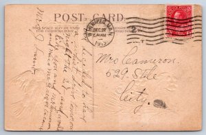 B̶i̶r̶t̶h̶d̶a̶y̶ Christmas Greetings, Oriole Rural Scene Mosquito, 1915 Postcard