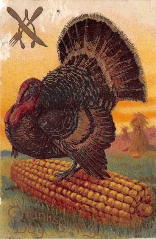 uk40892 thanksgiving day greetings turkey usa embossed