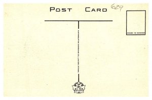 Moncton, Magnetic Hill