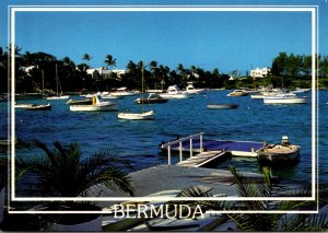 Bermuda Hamilton Mangrove Bay