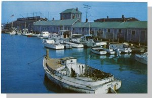 Nantucket, Mass/MA Postcard, Scallop Boats/Wharf, Cape Cod