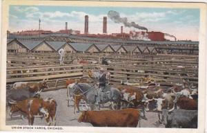 Illinois Chicago Union Stock Yards Cattle Pens