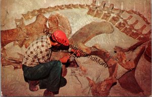 Reliefing Fossil Dinosaur Bone Dinosaur National Monument Utah Postcard PC271