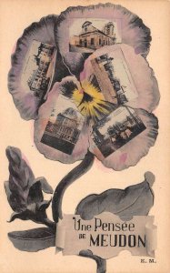 Meudon France Multiview Pansy Flower Greetings Vintage Postcard AA70777