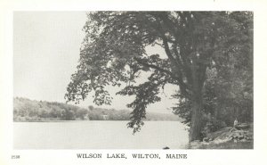 Vintage Postcard 1920's Wilson Lake Wilton ME Maine 