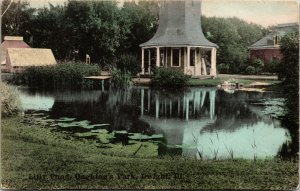 Postcard IL Dwight Lilly Pond Oughton's Park Flag Cancel 1909 M50